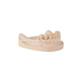 Custom Dental Layered Zirconia